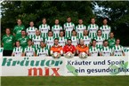 TSV Abtswind, Saison 2016/17, Landesliga Nordwest